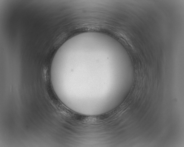 X0000076390123200610060914