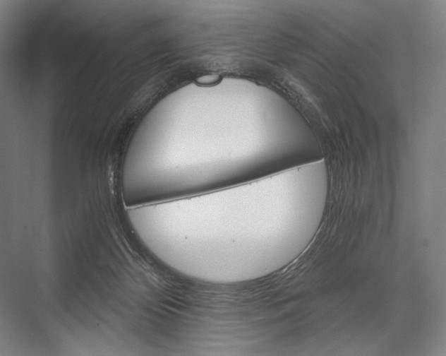 X0000076390124200610060914