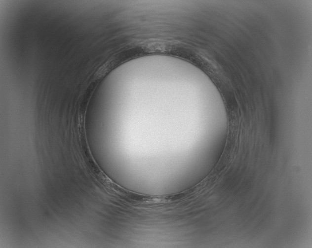 X0000076390125200610060914