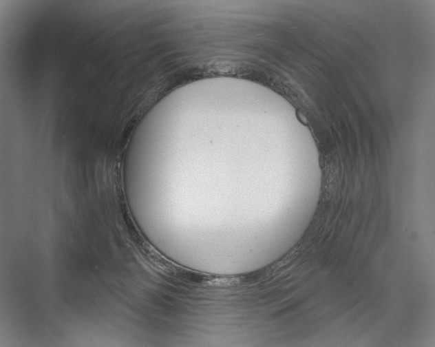 X0000076390126200610060913