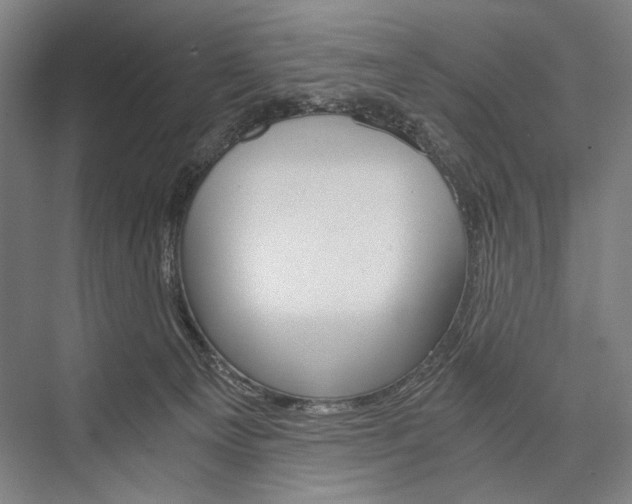 X0000076390129200610060913