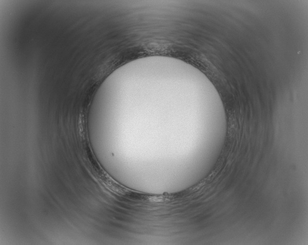 X0000076390130200610060913