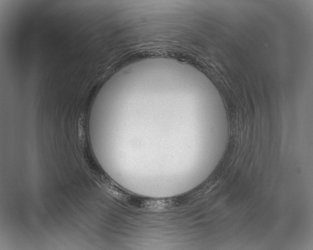 X0000076390131200610060913