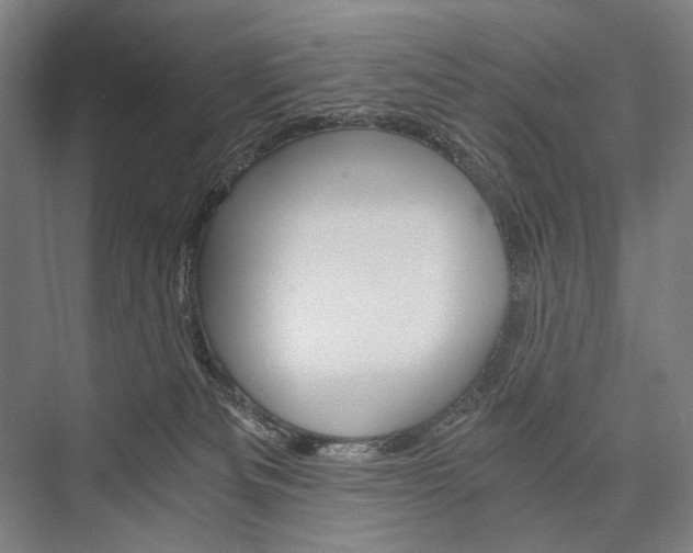 X0000076390133200610060913
