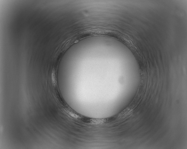 X0000076390143200610060913