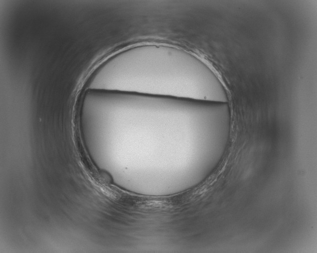 X0000076390151200610060912