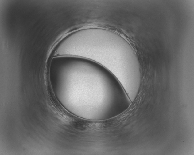 X0000076390152200610060912