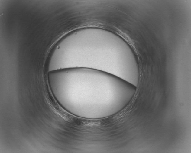 X0000076390155200610060913