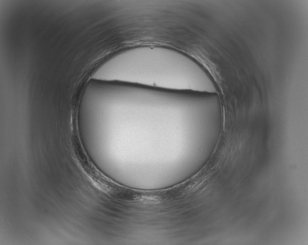 X0000076390157200610060913