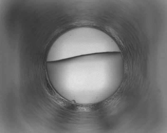 X0000076390167200610060913