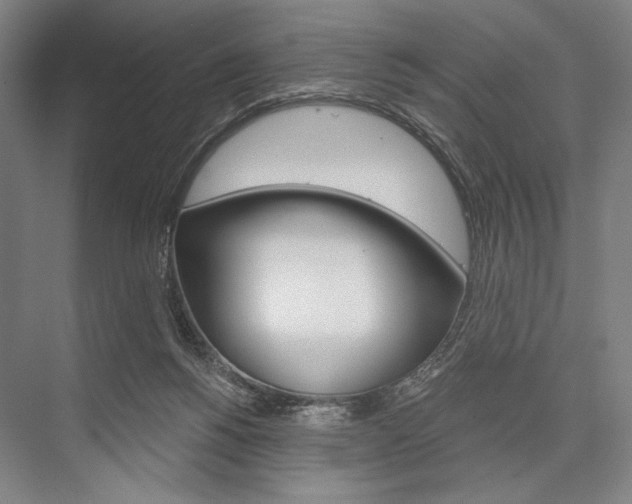 X0000076390168200610060913
