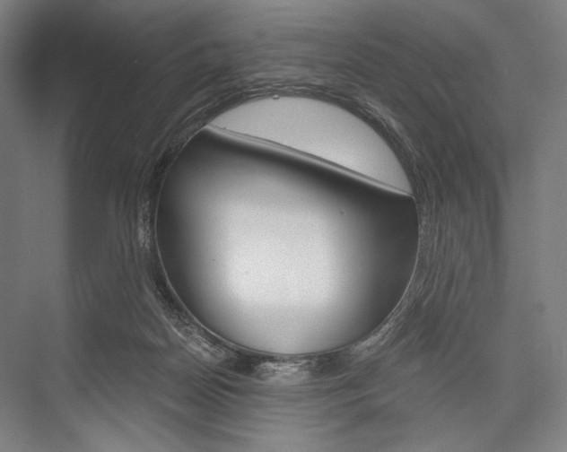 X0000076390170200610060913