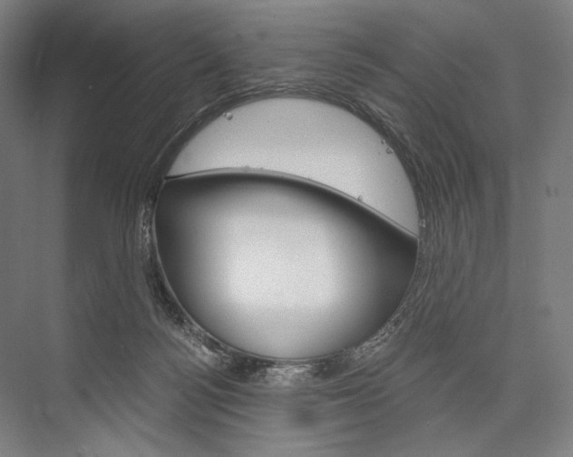 X0000076390172200610060913