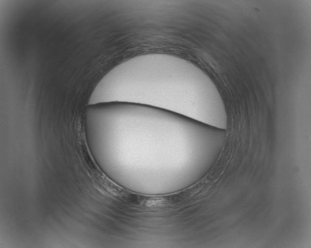 X0000076390173200610060913