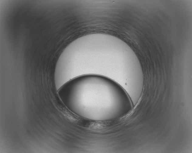 X0000076390174200610060913
