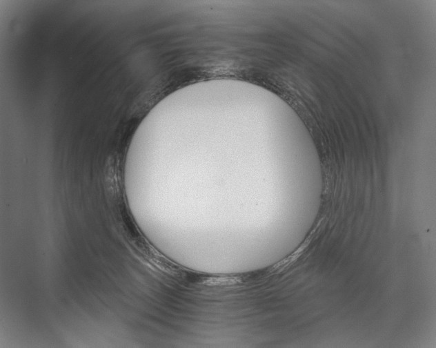 X0000076390179200610060913