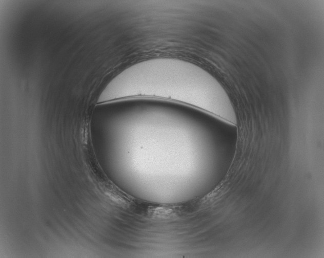 X0000076390180200610060913