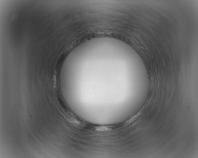 X0000076390183200610060913