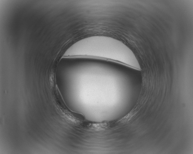 X0000076390188200610060913