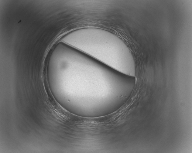 X0000076390195200610060912