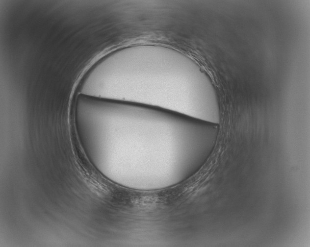 X0000076390196200610060912