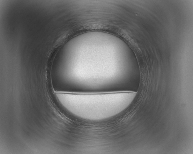 X0000076390207200610060912