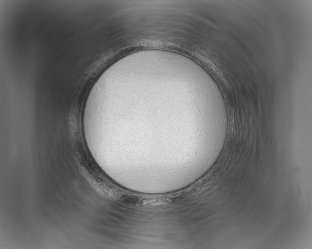 X0000076390208200610060912