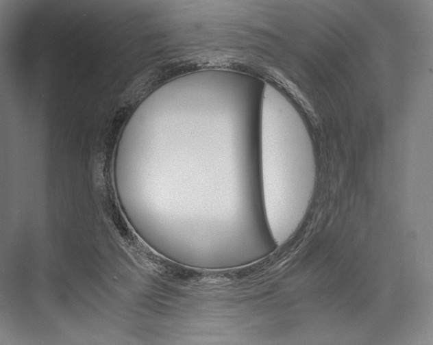 X0000076390209200610060912