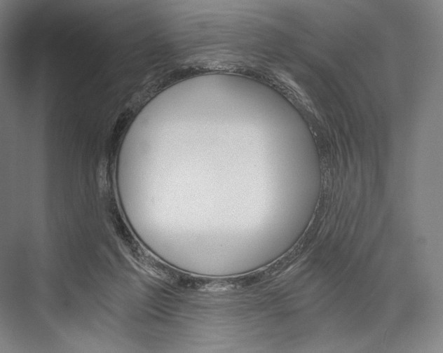 X0000076390213200610060912