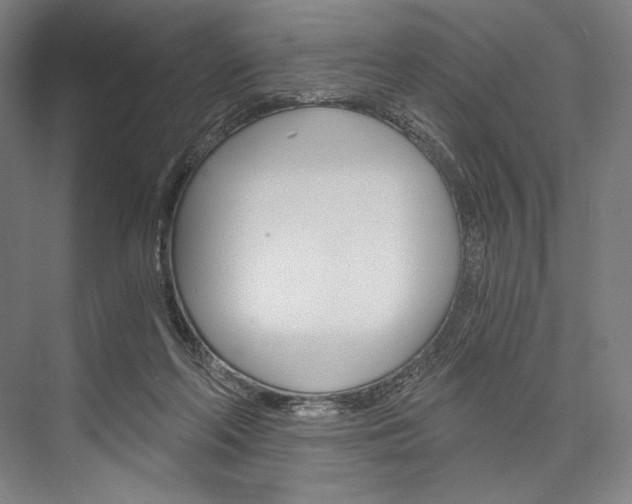 X0000076390214200610060912