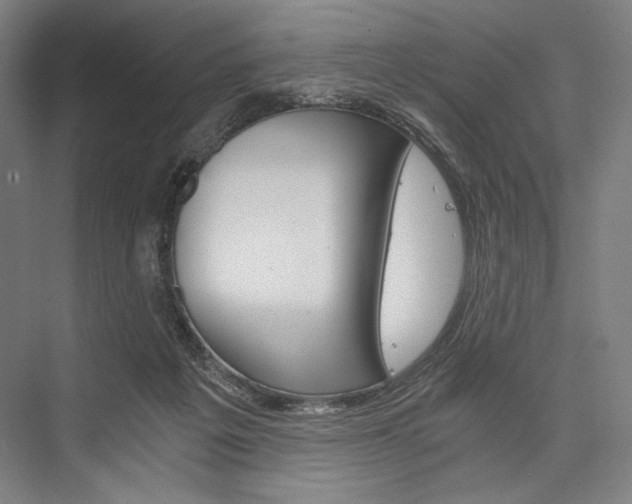 X0000076390217200610060912