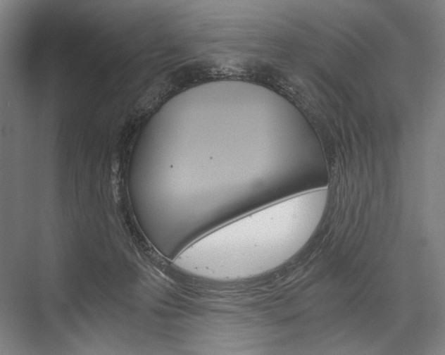 X0000076390223200610060912