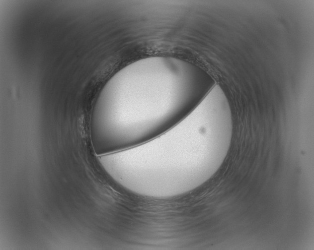 X0000076390224200610060912