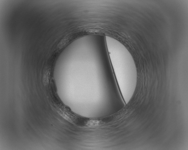 X0000076390227200610060912