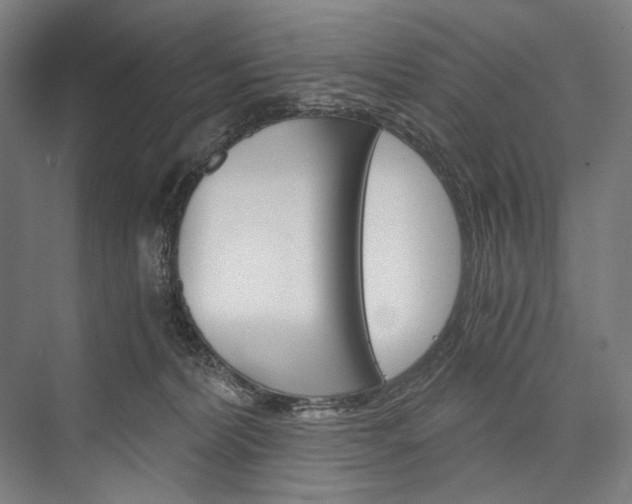 X0000076390228200610060912
