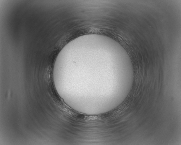 X0000076390230200610060912