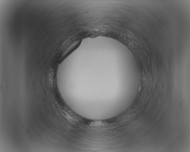 X0000076390231200610060912