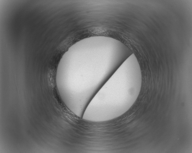 X0000076390234200610060912