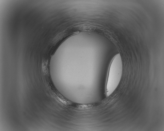 X0000076390239200610060912