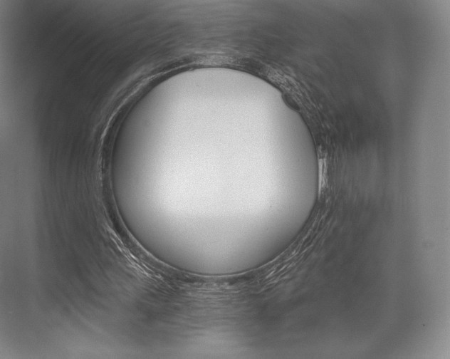 X0000076390243200610060911