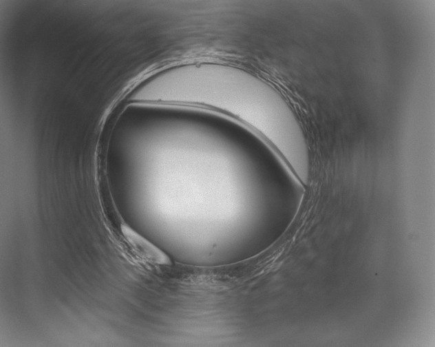 X0000076390244200610060911