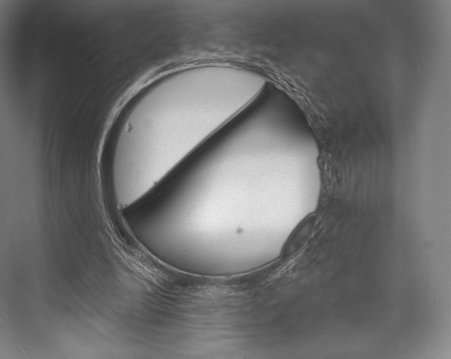 X0000076390246200610060911