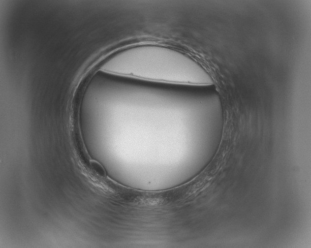 X0000076390247200610060911