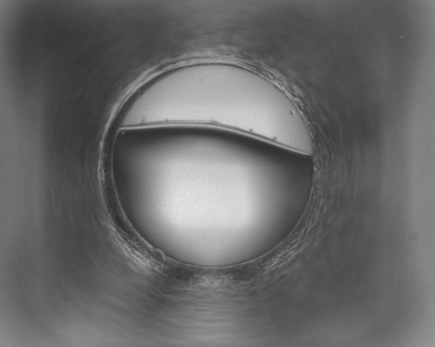 X0000076390248200610060911