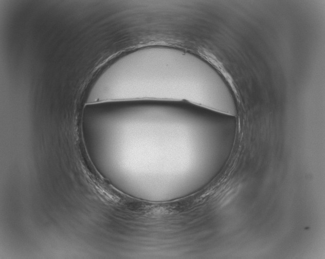 X0000076390249200610060911