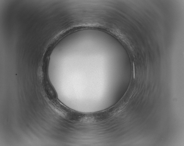 X0000076390252200610060911
