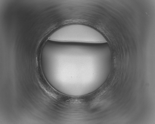 X0000076390254200610060911