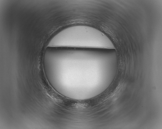 X0000076390255200610060911