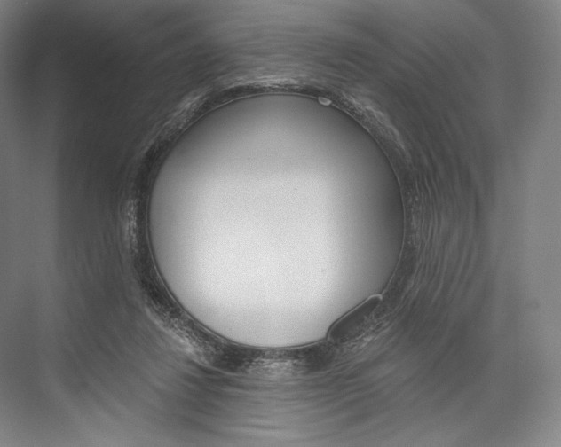 X0000076390260200610060911