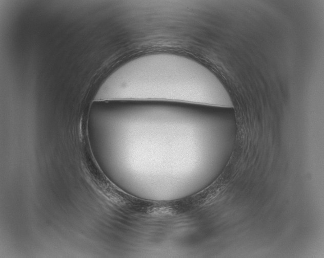 X0000076390262200610060911
